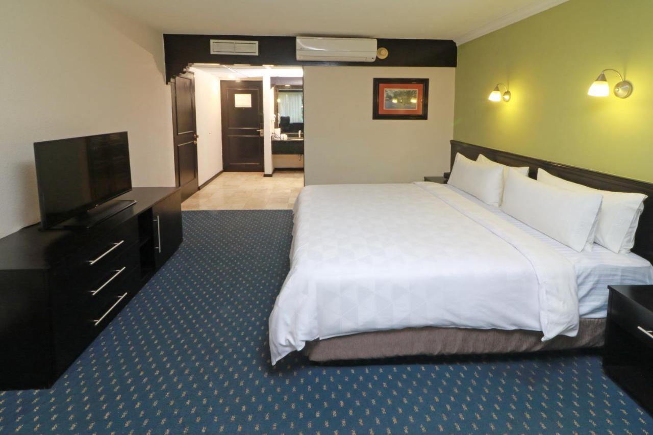 Holiday Inn San Luis Potosi-Quijote By Ihg Екстер'єр фото